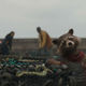 An in-progress CG shot of Rocket in New Asgard.